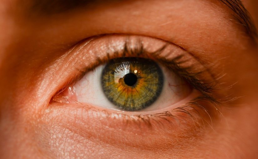 Oczy to nietypowy organ. To dokładnie dzięki nim widzimy.